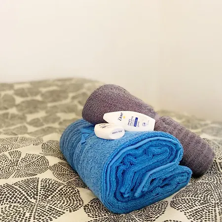 Hypercentre 2 Climatise Διαμέρισμα Τουλούζη